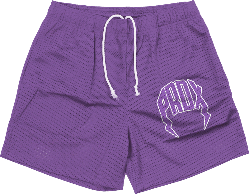 "PRDX" Mesh Shorts (Purple)