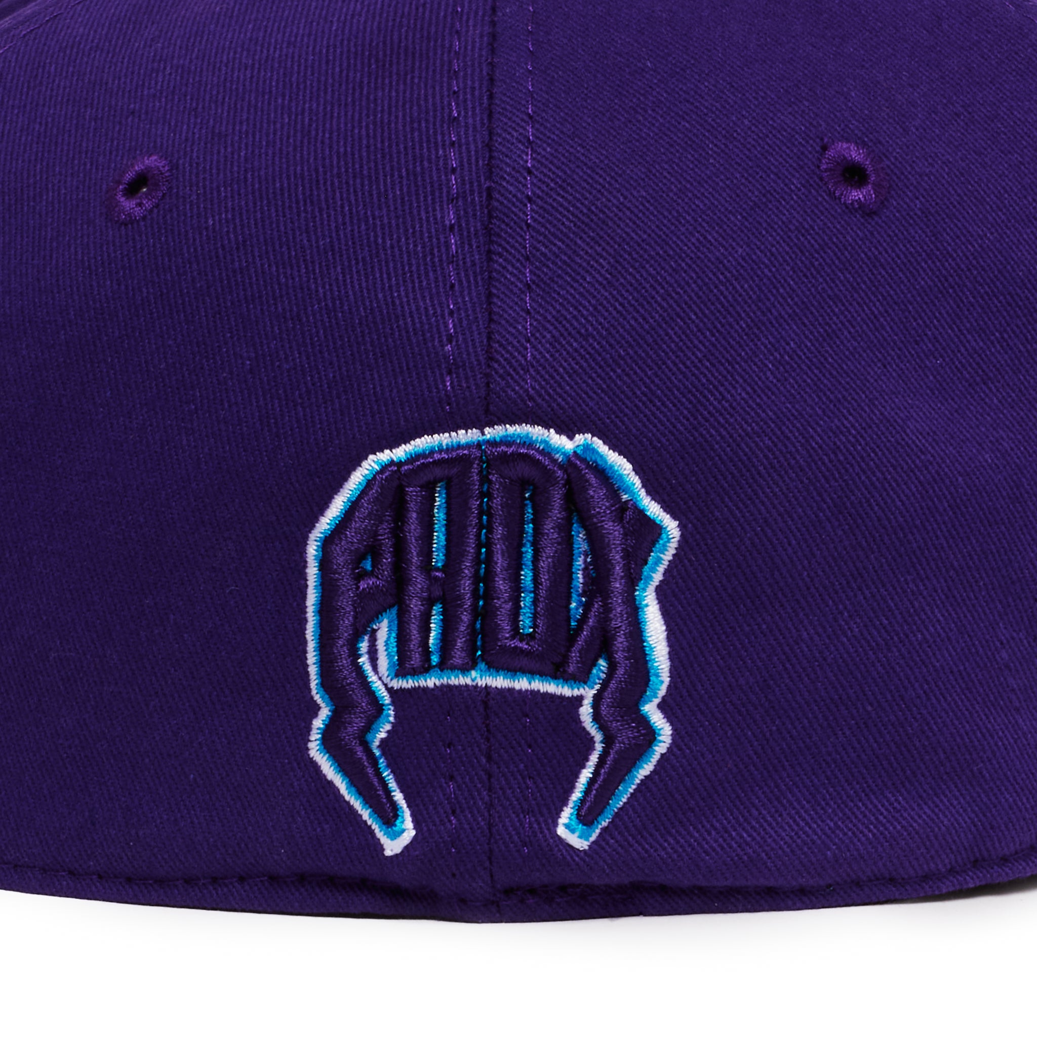 OLD VARSITY FITTED HAT (PURPLE/BLACK) – Paradox Lab