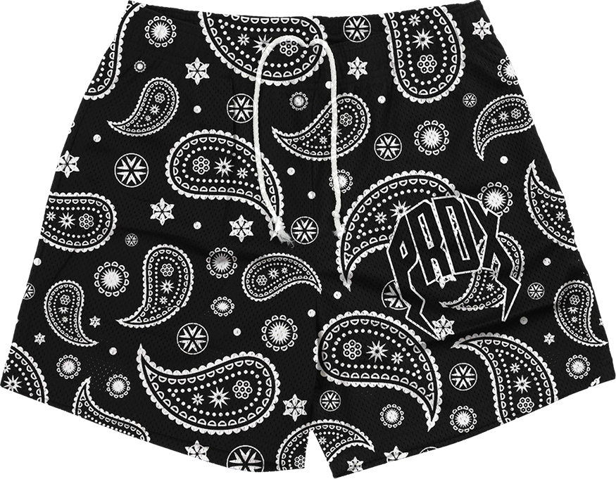"PAISLEY PRINT" Mesh Shorts