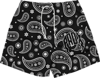 "PAISLEY PRINT" Mesh Shorts