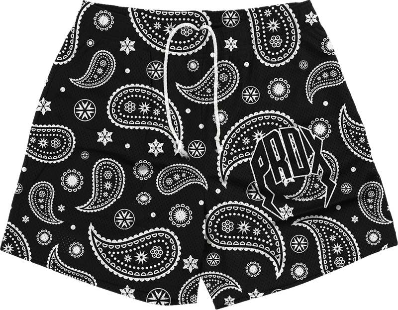 "PAISLEY PRINT" Mesh Shorts