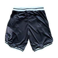 Lightning Arc Logo Varsity Shorts